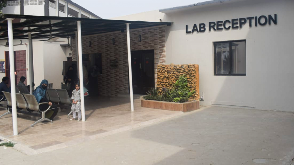 lab1231